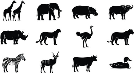 Wild animal silhouette set featuring giraffe elephant rhino lion zebra ostrich buffalo and antelope for wildlife design © MdAbdur