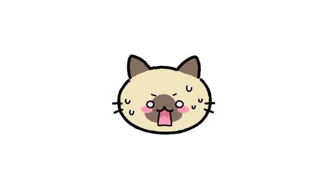 Angry cat face emoji. Angry cat 3d icon animation 