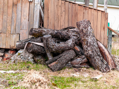 pile of cut tree trunks