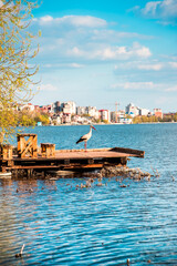 Fototapeta premium Spring landscape with a stork on the pier against the background of city houses.