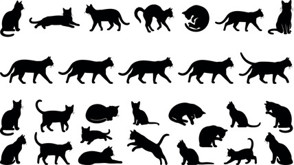 Obraz premium Large collection of domestic cat silhouettes featuring various poses including walking jumping sleeping and grooming for pet design projectsLarge collection of domestic cat silhouettes featuring va