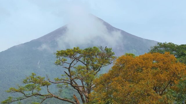 Active Fuego Volcano rises majestically in Guatemala as wispy clouds drift across its conical peak. Vibrant green and golden orange tropical trees frame misty volcanic landscape in this scenic view.