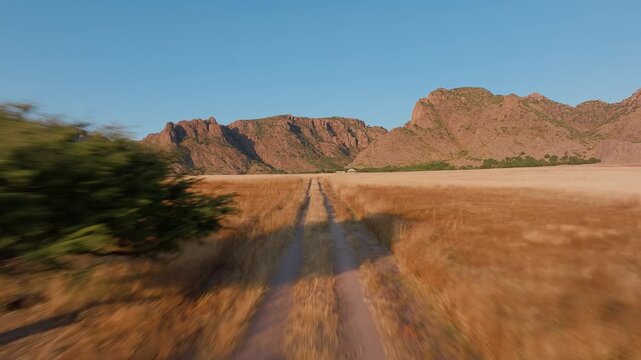 FPV drone races low over golden wheat fields following dusty tire tracks toward rugged red mountain cliffs bathed in warm morning sunlight.