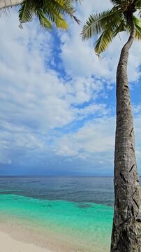 Paradise sandy beach with coconut palm trees and quiet sea, vertical screen.