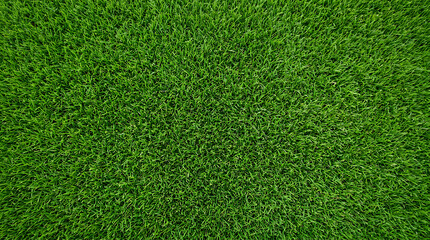 Obraz premium Vibrant green grass texture, perfect for natural backgrounds and design elements