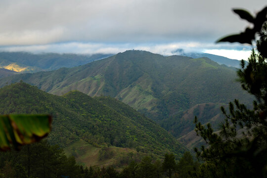 Constanza