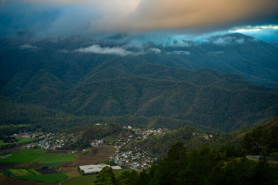 Constanza
