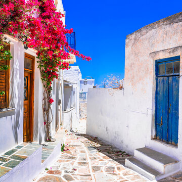 Lefkes Paros Greece, Scenic Curving Narrow Street with Pink Bougainvillea Flowers and White Walls, Traditional Blue Doors in Cycladic Village, Mediterranean Aesthetics Square Composition No People 