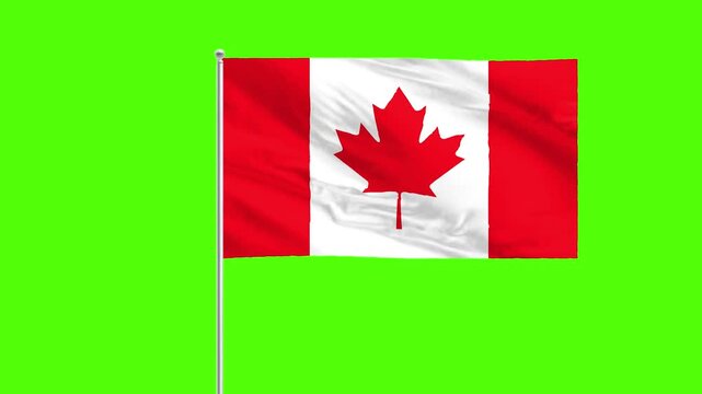 Canadian Flag in the Wind: The iconic red and white flag of Canada, emblazoned with the distinctive maple leaf emblem, waves gently against a soft green backdrop.