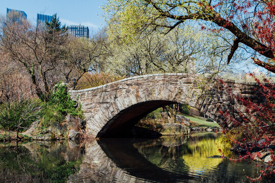 Spring in Central Park New York City 