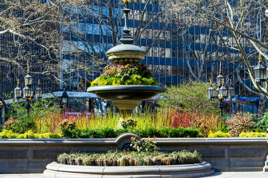 Spring Flowers in New York City 