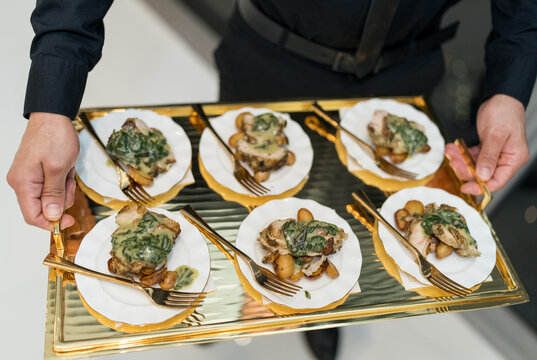 Elegant Catering Tray with Gourmet Appetizers at Luxury Event