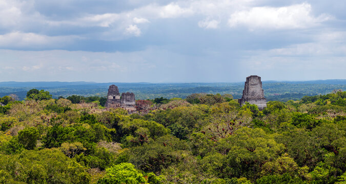 Aerial view of Tikal national park with Mayan pyramids and Peten jungle, Guatemala.