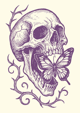Skull with butterfly emerging from mouth surrounded by thorny vines hand drawn butterfly transformation metamorphosis emergence branches mortality illustration decorative abstract isolated