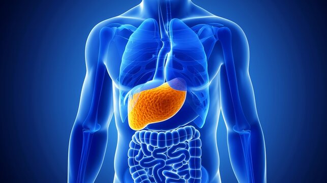 Detailed close up of fatty liver disease for health diagnosis and treatment insights