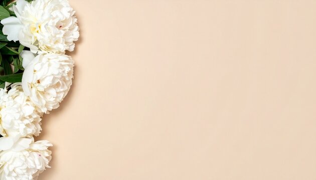 White peonies side border on beige background with copyspace, minimal floral banner, mothers day, elegant feminine design