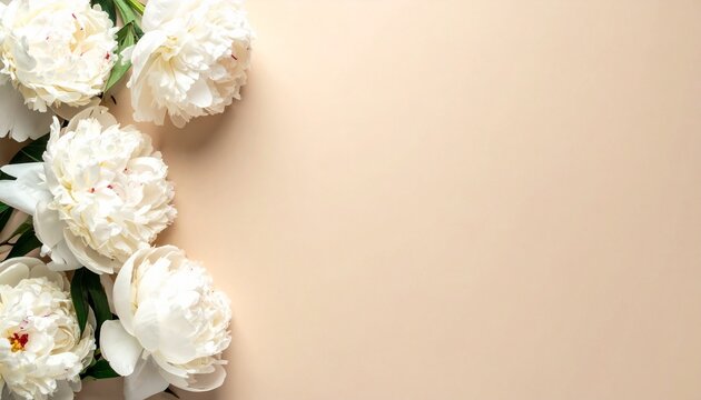 White peonies dense side border on beige background with copyspace, floral banner, mothers day, elegant premium design