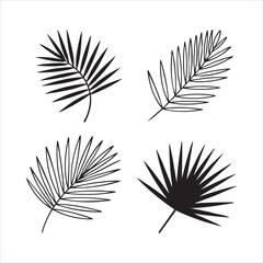 Fototapeta premium Set of four different palm leaf designs, tropical foliage vector illustration, outline and silhouette style.