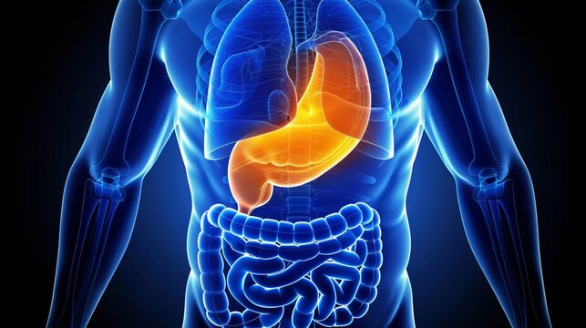  close up of fatty liver disease  diagnosis, treatment, and health implications explained