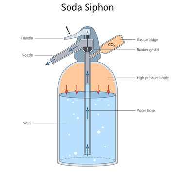 Educational diagram showing a soda siphon with CO2 cartridge, pressure bottle, water hose, nozzle, handle, and gas flow diagram hand drawn schematic vector. Science educational illustration