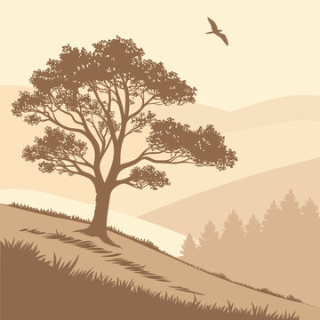 Brown tree on a hill with a bird flying overhead