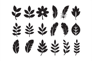 Set of black leaves, feathers, and floral elements collection isolated on white background. © MdNasir