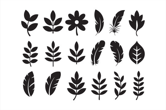 Set of black leaves, feathers, and floral elements collection isolated on white background.