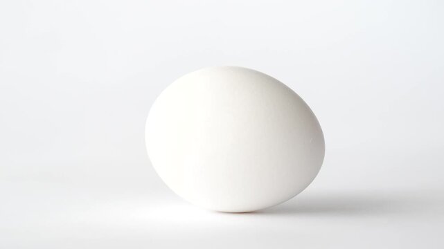 Perfect white chicken egg on light background, minimalist clean concept
