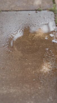 water drops falling on wet pavement for leak or rain concept with splash and surface texture detail
