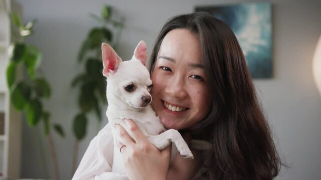 Happy young amazing girl hugging sweet Chihuahua. Fine pet. Compact white dog. Blurred background of apartment. Close-up footage. Indoors.
