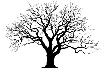 Obraz premium Bare winter tree silhouette with branches on transparent background