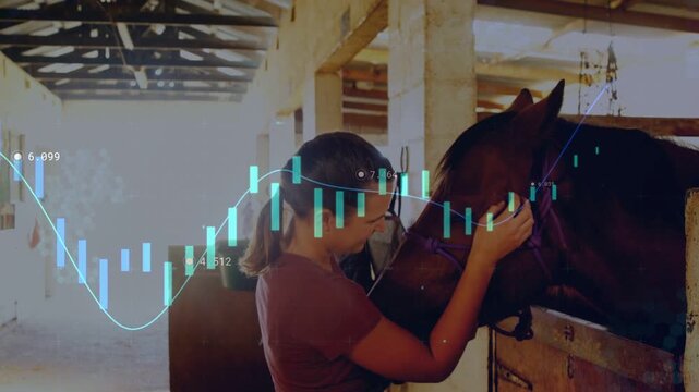 Woman walking to stall leaning in checking halter ensuring safety as teal finance chart animating