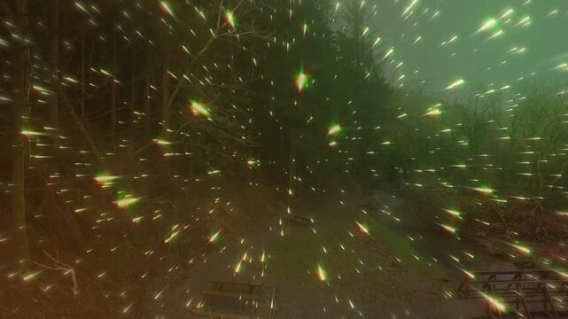 Lit streaks thinning and moving outward, revealing central trail, benches, sapling guiding forward