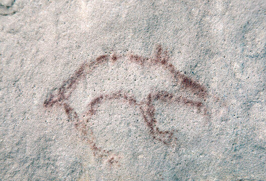 Film photo of ancient petroglyph animal rock art