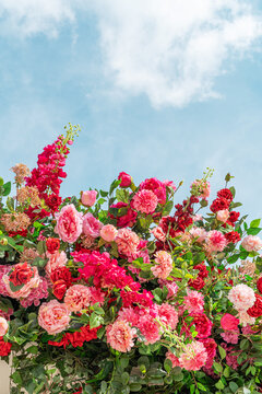 Spring floral arch with pink and red blossoms on sky