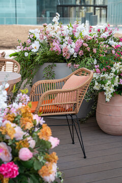 Spring patio with primroses and rattan chair decor