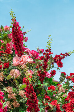 Spring flower border with red and pink blooms in sky