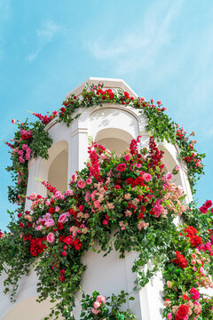 Spring primrose and floral display on white garden tower