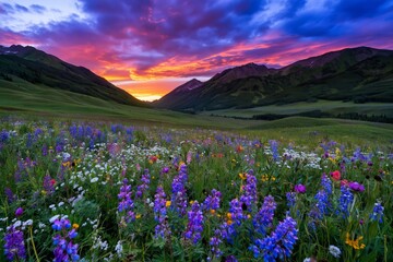 Obraz premium Vibrant Landscape With Colorful Flowers and Mountains at Sunset in a Valley