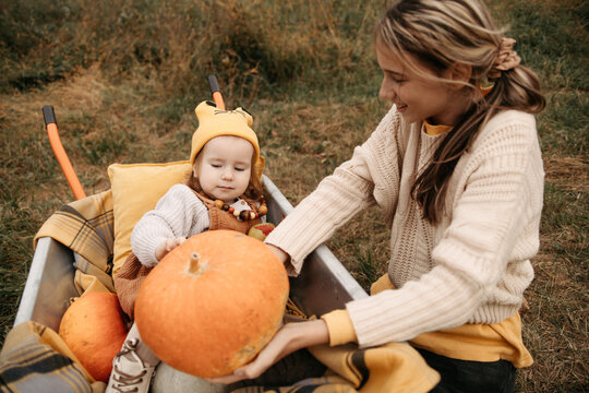 Sisters with pumpkins in a wheelbarrow during autumn harvest