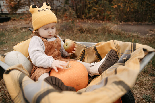 Little girl in autumn garden with pumpkin and apple
