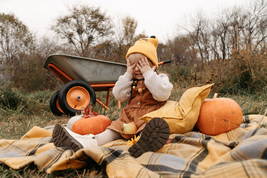 Little girl with pumpkins on blanket during autumn day