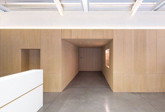 Modern candy factory lobby with wooden walls and clean lines