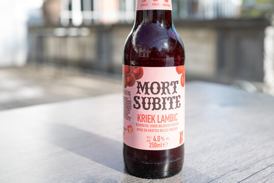 Mort Subite Kriek Lambic Belgian beer