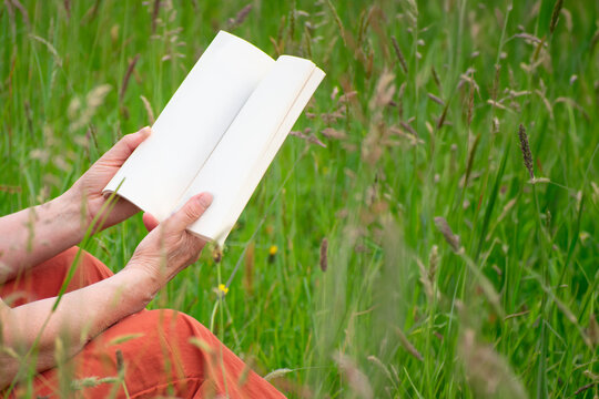 Person reading book in green meadow