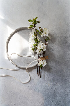 Minimal interior still life with cherry blossom branch