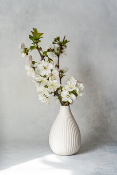 Minimal interior still life with cherry blossom vase