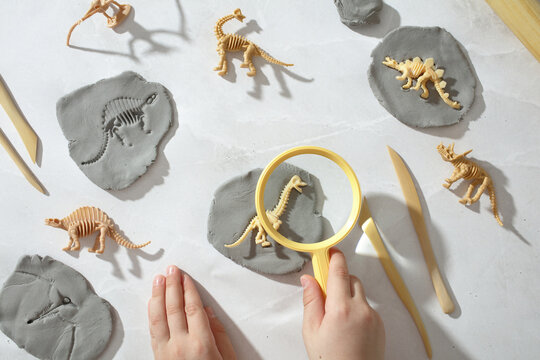 Child exploring dinosaur fossil imprints with magnifier