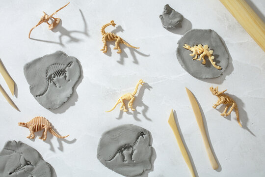 Homeschool paleontology STEM activity with dinosaur fossils