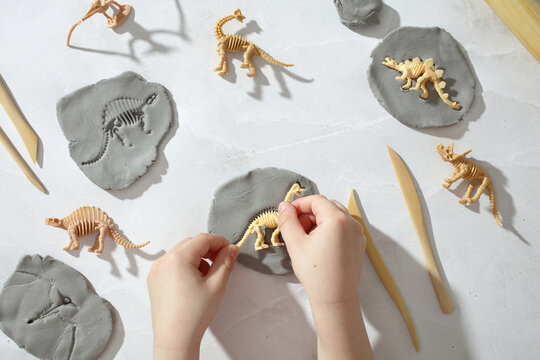Child hands making dinosaur fossil imprints in clay